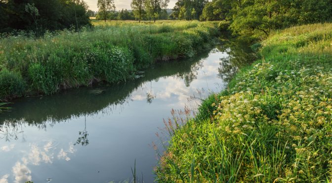 Restoring the rivers of the South Downs National Park – what’s been done and what we need to do