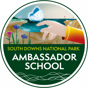 A colour graphic logo for the South Downs National Park Ambassador School scheme
