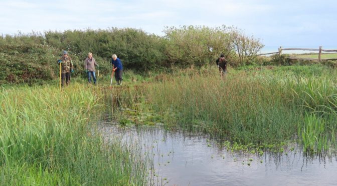 Case study: Seaford Head Dew Pond Restoration